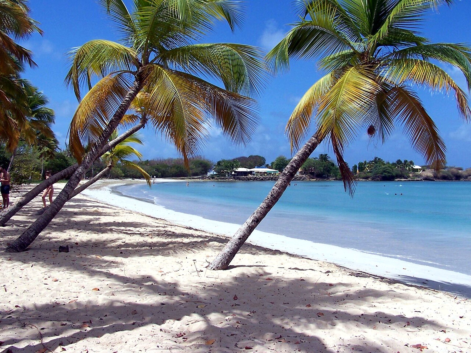 Grande Anse des Salines, Sainte-Anne (Martinique)