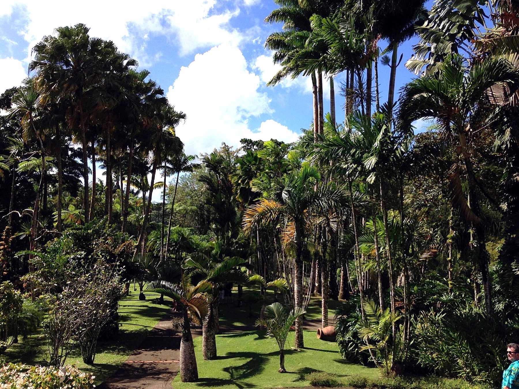 Le Jardin de Balata (Martinique)